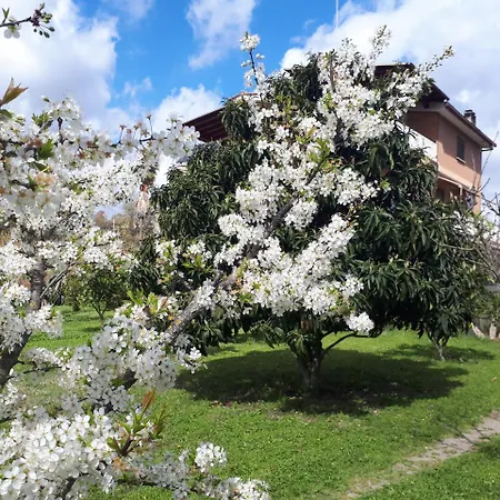 B&B Il Giardino di Gabri-3